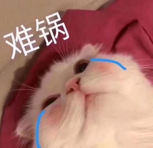 表情包里吃瓜的表情是什么意思啊,网络社交中的幽默与讽刺