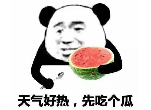 表情包里吃瓜的表情是什么意思啊,网络社交中的幽默与讽刺
