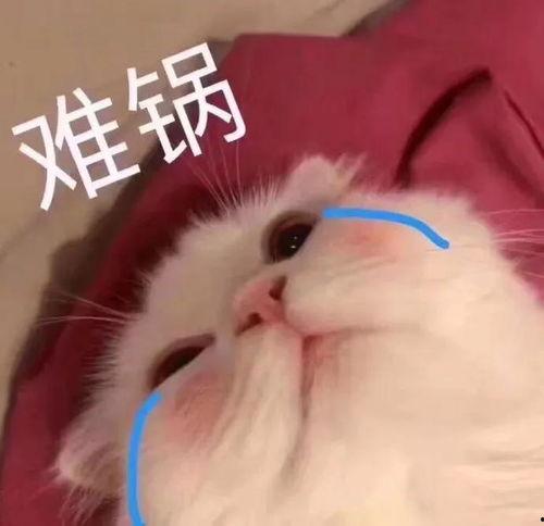 表情包里吃瓜的表情是什么意思,揭秘网络社交中的“围观”文化