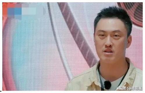 娱乐圈圈吃瓜小料是什么,吃瓜小料背后的真相与内幕