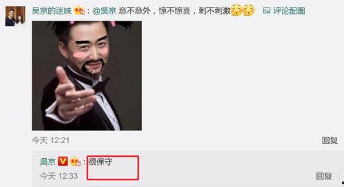 娱乐圈吃瓜吴京是谁啊图片,娱乐圈吃瓜达人,揭秘幕后风云